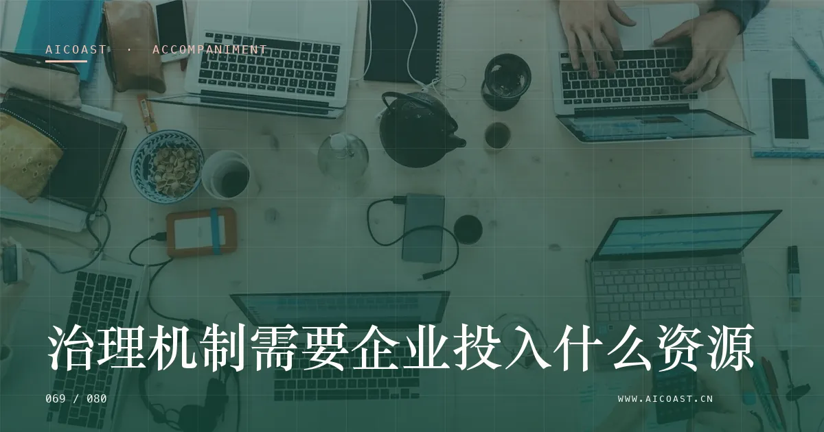 文章封面：治理机制需要企业投入什么资源（陪跑、转型与能力转移类目）